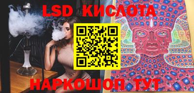 стаф Берёзовский