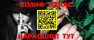 стаф Берёзовский