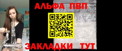 стаф Берёзовский