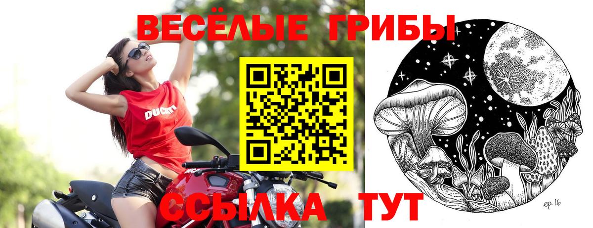 Галлюциногенные грибы Magic Shrooms  где можно купить наркотик  Вход с VPN  Кимовск  Галлюциногенные грибы Magic Shrooms 